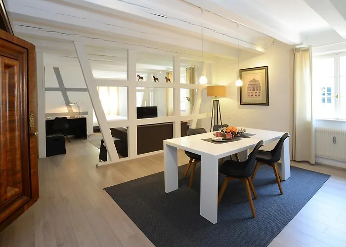 COLMAR city center place de l\'Ancienne Douane - Apartment MARIE - TripAlsace